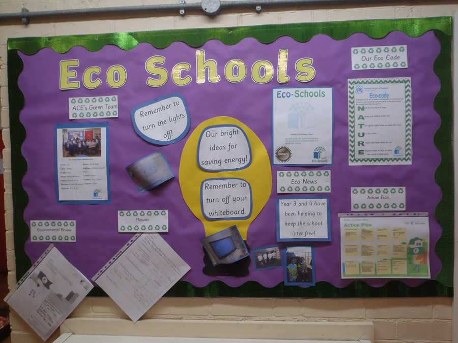 Eco Schools Display